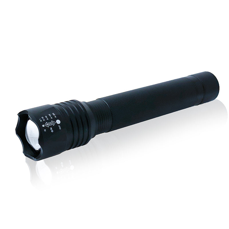 FLASHLIGHT-STINGER-2000